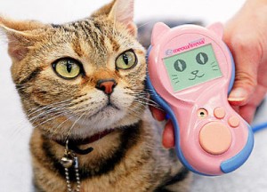 Bowlingual & Meowlingual Bowlingual & Meowlingual