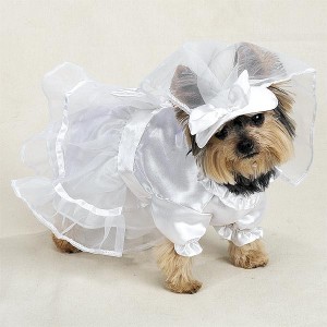 trouwjurk voor honden trouwjurk voor honden