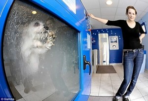 honden wasmachine wasmachine