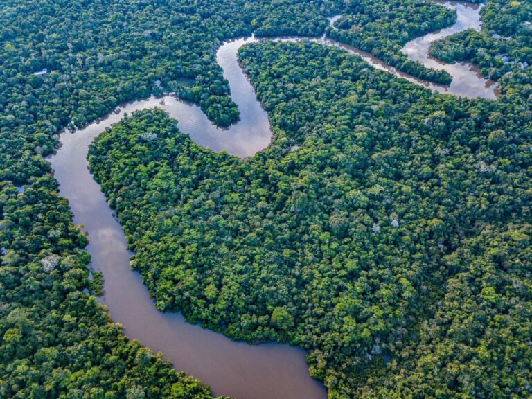 Top 10 Langste Rivieren in de Wereld - Wat is de langste rivier?