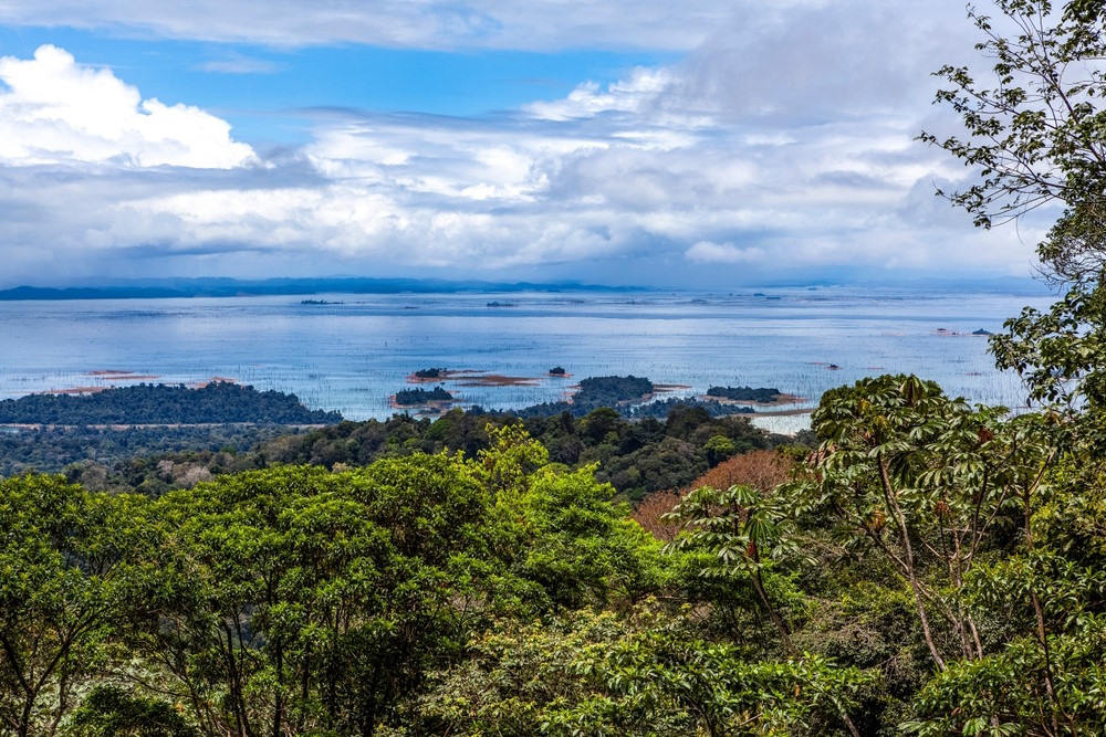 Brownsberg Brownsberg