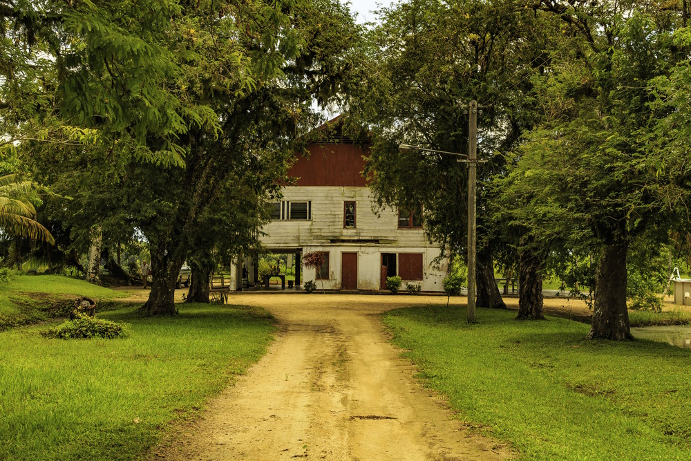 plantages suriname plantages suriname
