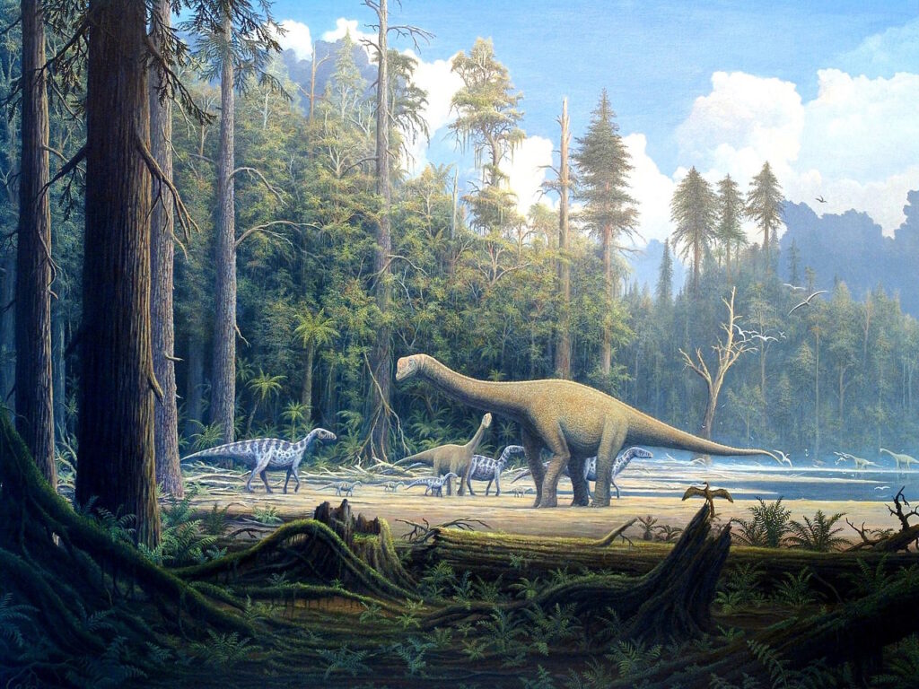 Europasaurus Europasaurus